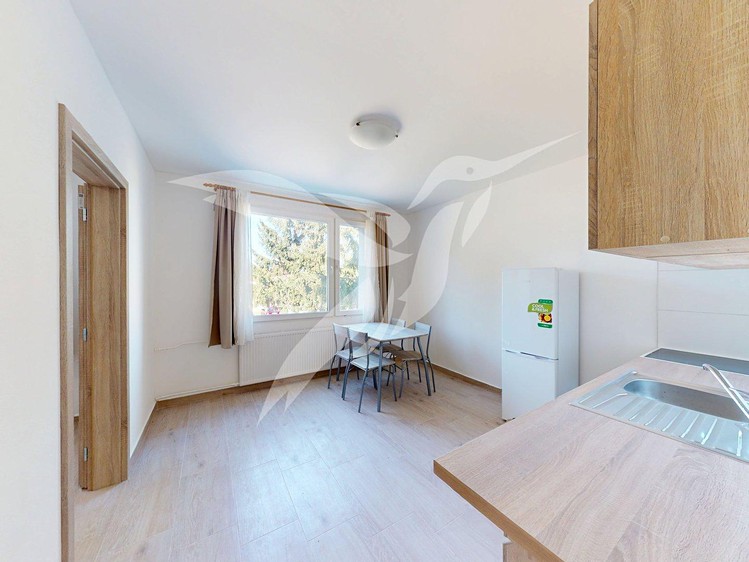 Pronájem bytu 3+kk, 44 m² (4 z 9)