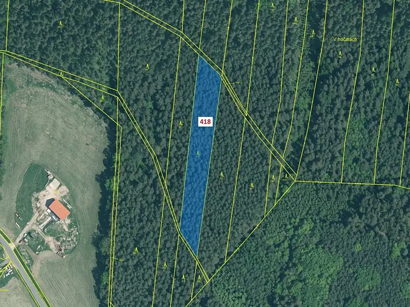 Dražba lesa 4422 m², Záhoří – náhled fotky 2