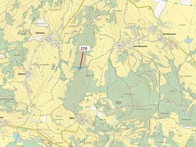 Dražba lesa 4502 m², Zálezly – náhled fotky 1