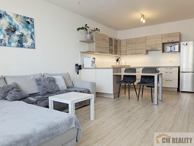 Prodej bytu 2+kk, 55 m² (1 z 20)
