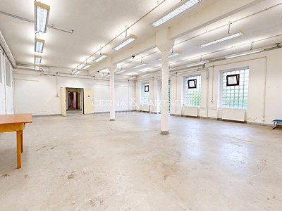 Комерційне приміщення в оренду, 235 м² (2 з 13)