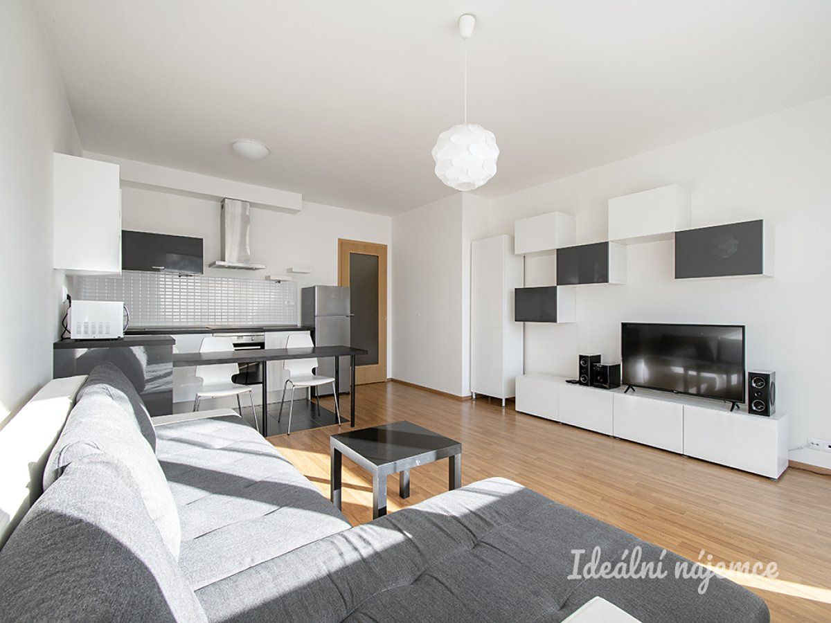 Pronájem bytu 1+kk 42 m²