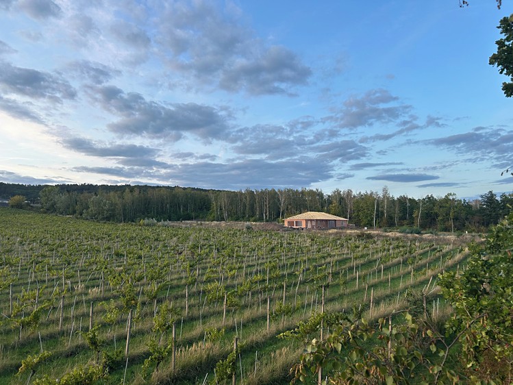 Prodej pozemku, 900 m² (9 z 10)