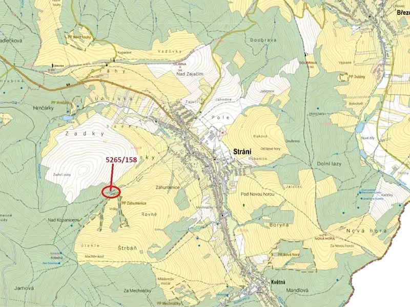Dražba lesa 1065 m², Strání – náhled fotky 1