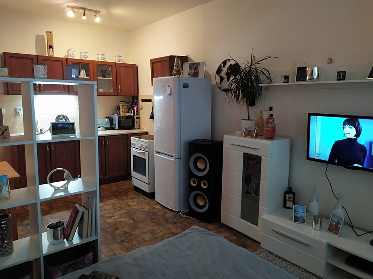 Wohnung 1+kk zur Miete, 34 m² (6 von 10)