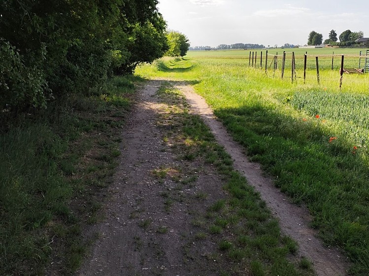 Ostatní