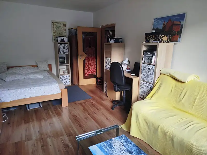 Pronájem bytu 1+1 39 m², Ostrava – náhled fotky 1