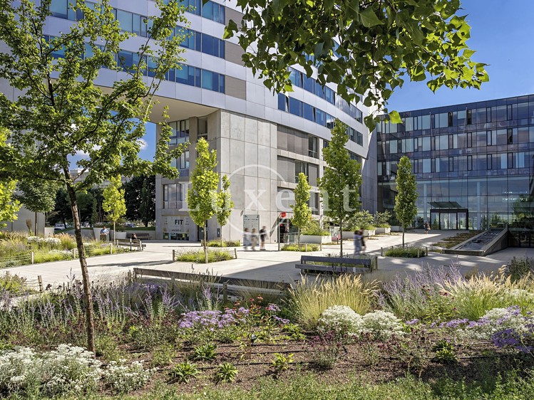 Gewerbefläche zur Miete, 630 m² (6 von 8)