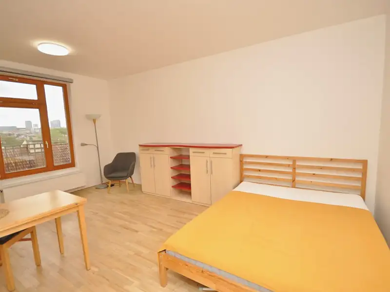Pronájem bytu 1+kk 27 m², Praha – náhled fotky 1