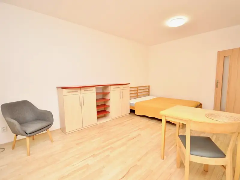 Pronájem bytu 1+kk 27 m², Praha – náhled fotky 3