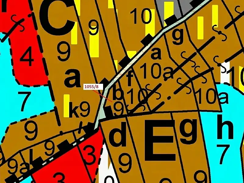Dražba lesa 546 m², Milavče – náhled fotky 3