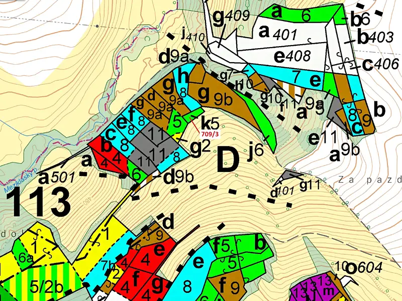 Dražba lesa 350 m², Řečice – náhled fotky 3