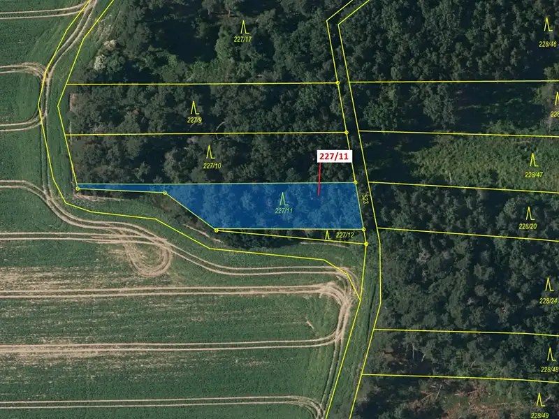 Dražba lesa 883 m², Břežany – náhled fotky 2