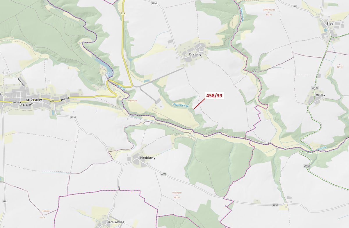 Dražba lesa 50 m², Břežany – fotka 1 z 3