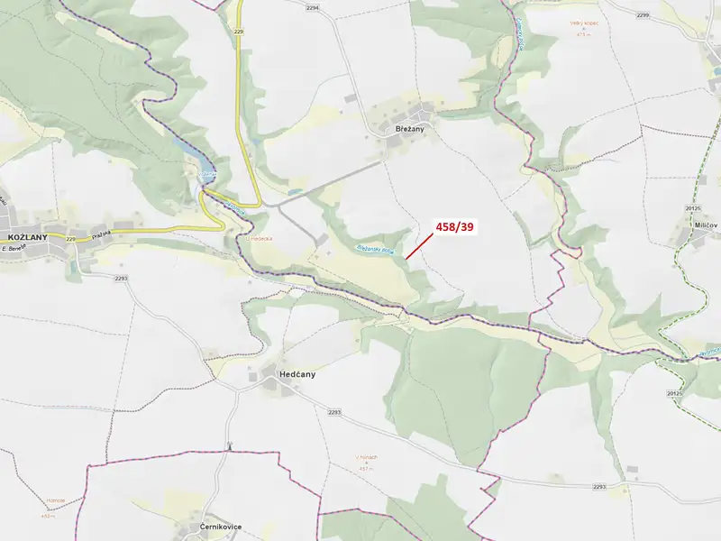 Dražba lesa 50 m², Břežany – náhled fotky 1