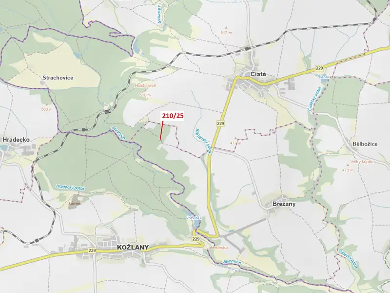 Dražba lesa 198 m², Břežany – náhled fotky 1