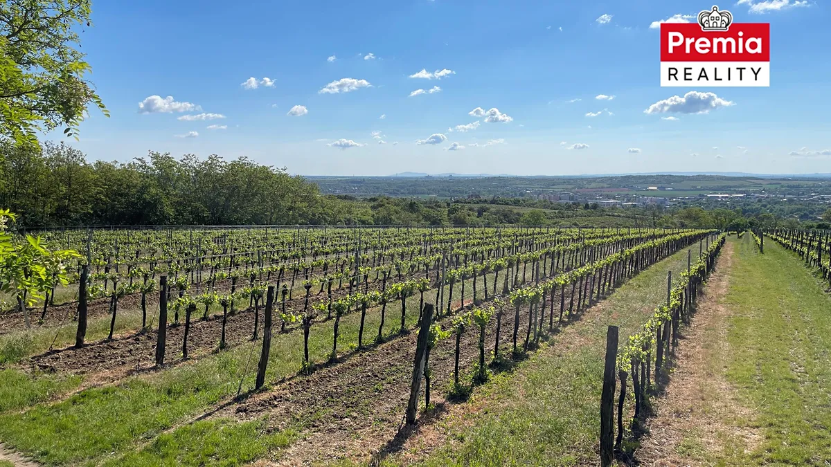 Prodej sadu, vinice 86440 m²