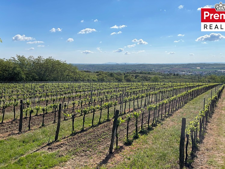 Grundstück zum Kauf, 86.440 m² (1 von 22)