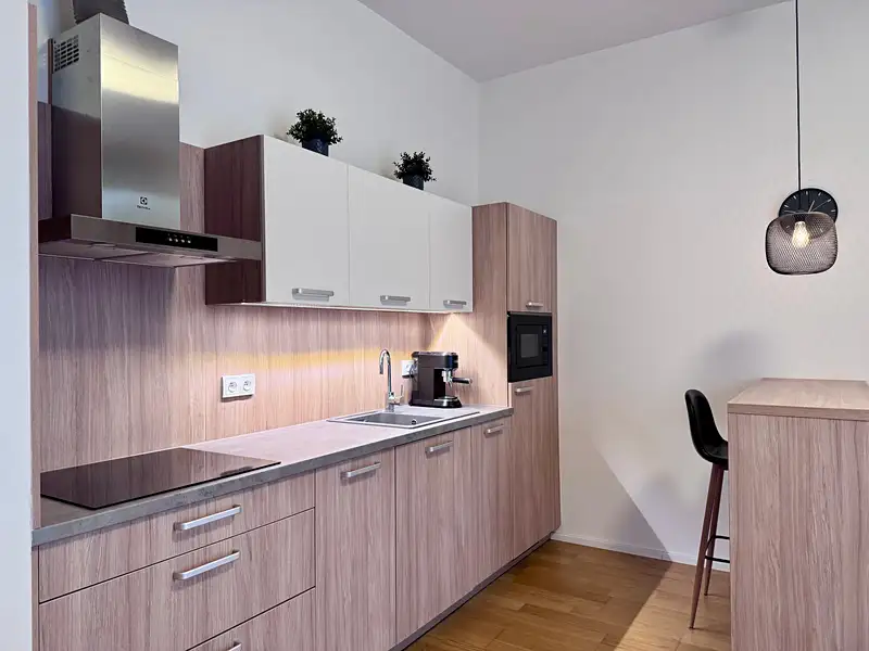 Pronájem bytu 1+kk 35 m², Mlýnská, Brno – Trnitá, okres Brno-město