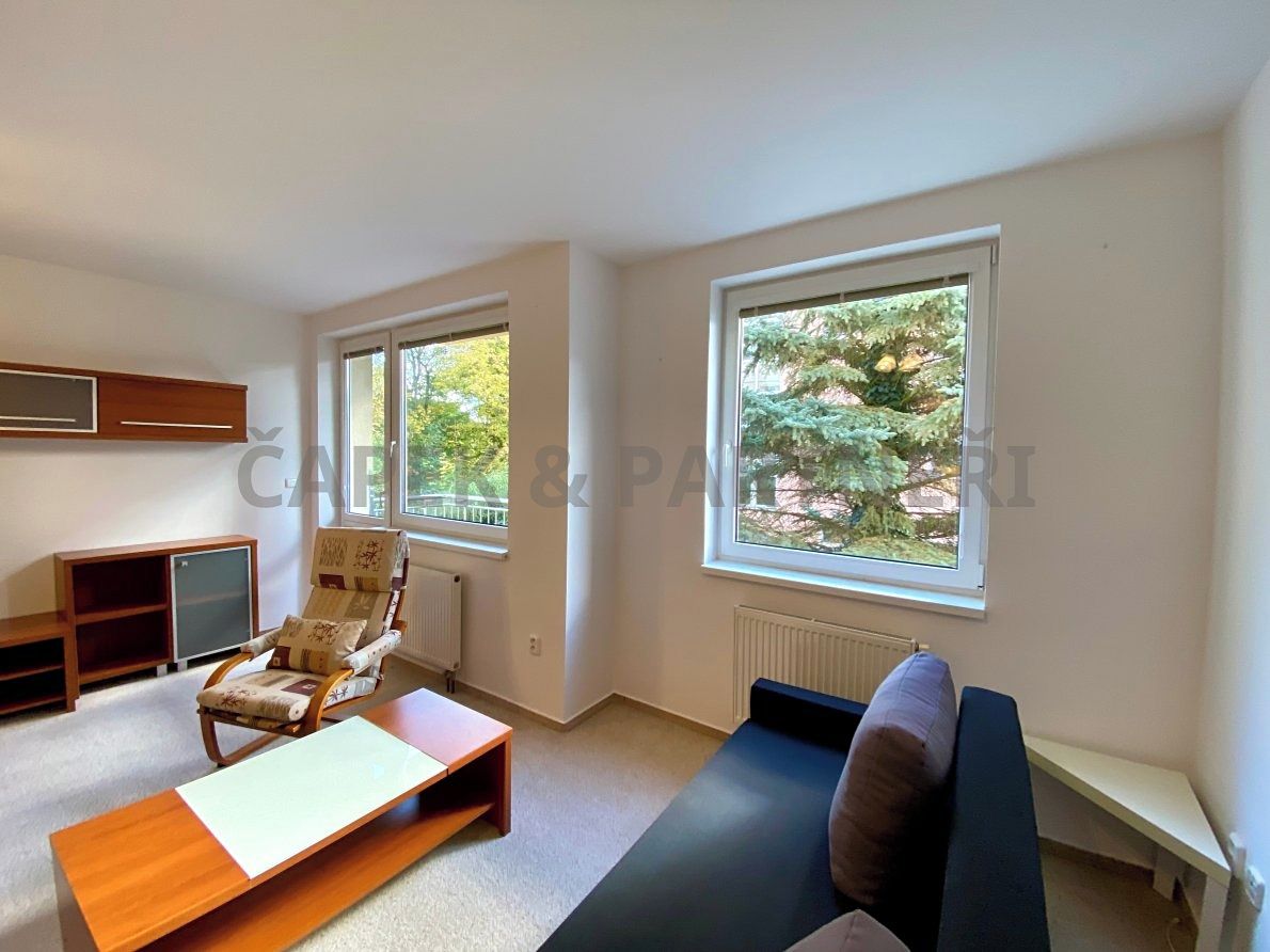 Pronájem bytu 1+kk 35 m² – fotografie 2