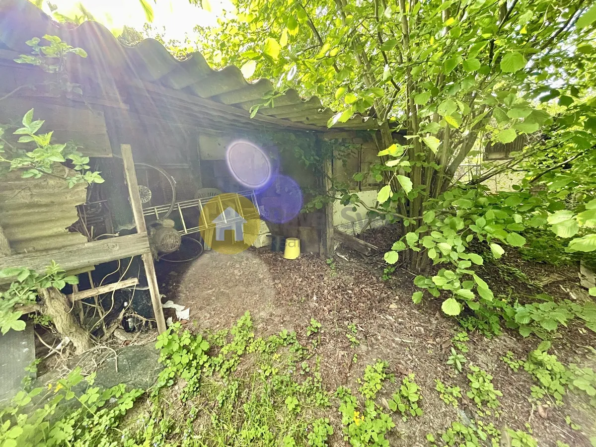 Fotka 17 z 17