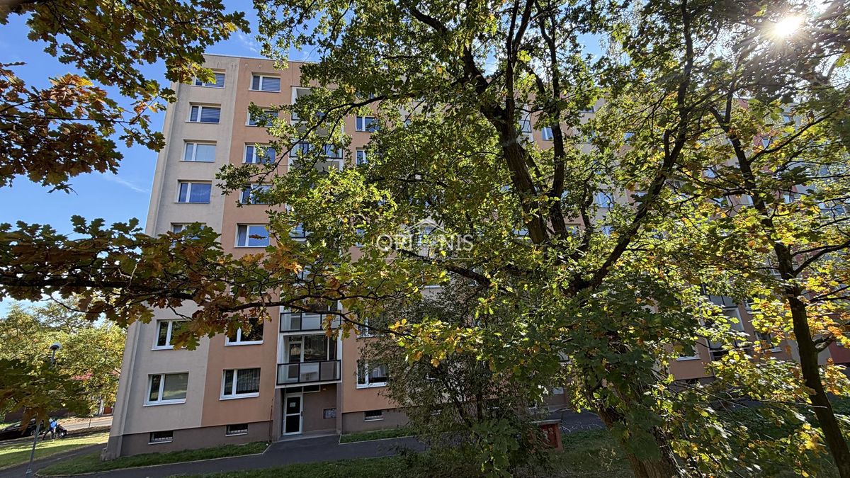 Pronájem bytu 3+1 80 m²