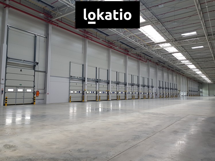 Комерційне приміщення в оренду, 5 667 м² (9 з 13)