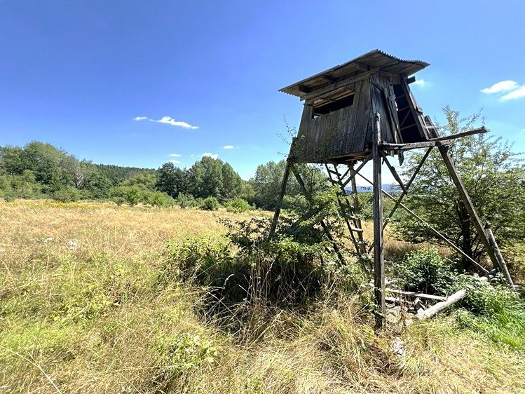 Grundstück zum Kauf, 8.000 m² (13 von 27)