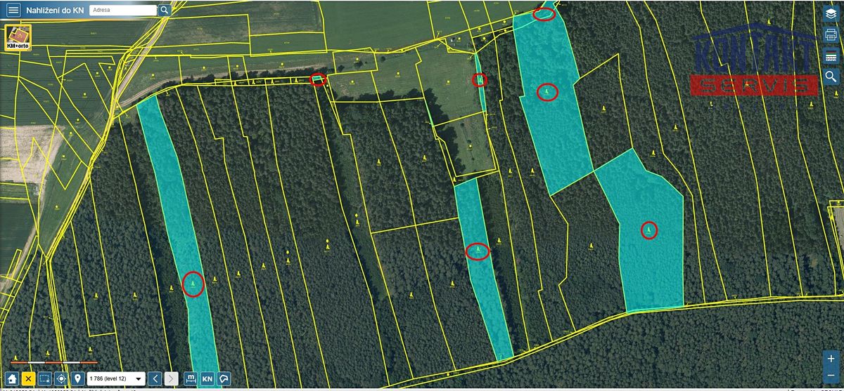 Prodej lesa 41358 m², Hromnice – fotka 1 z 3