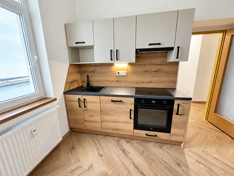 Pronájem bytu 1+1 60 m², Plzeň – náhled fotky 1