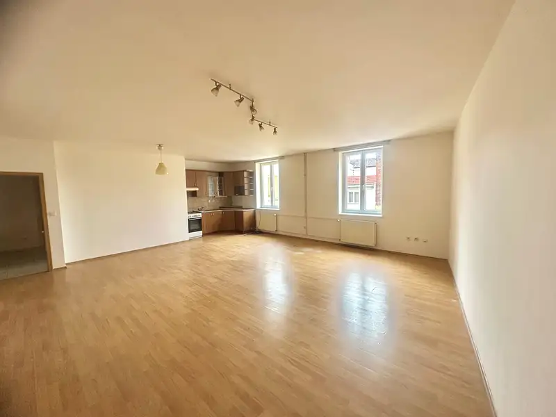 Pronájem bytu 3+kk 123 m², Plzeň – náhled fotky 1