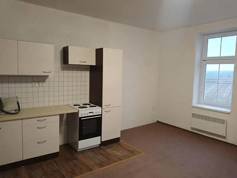 Pronájem bytu 2+kk 48 m², Mlečice – náhled fotky 3