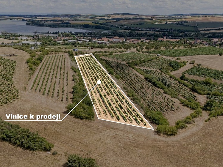 Prodej pozemku, 6 224 m² (8 z 13)