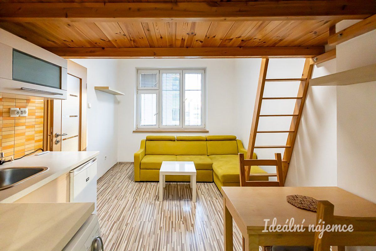 Pronájem bytu 1+kk 20 m² – fotografie 4
