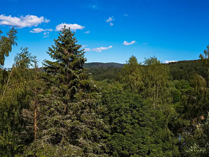 Prodej bytu 2+1 55 m², Bayerisch Eisenstein – náhled fotky 3