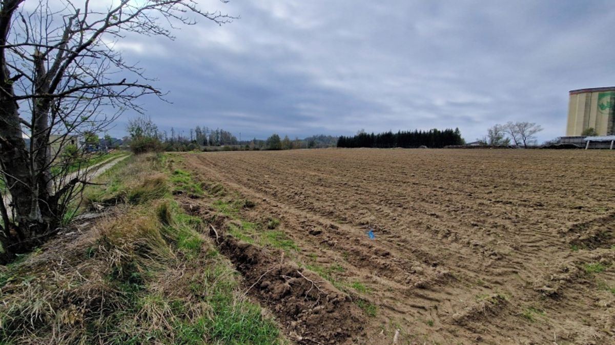 Dražba pole 6080 m², Batelov – fotka 1 z 3