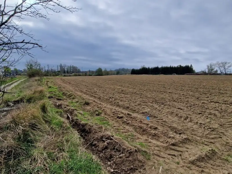 Dražba pole 6080 m², Batelov – náhled fotky 1
