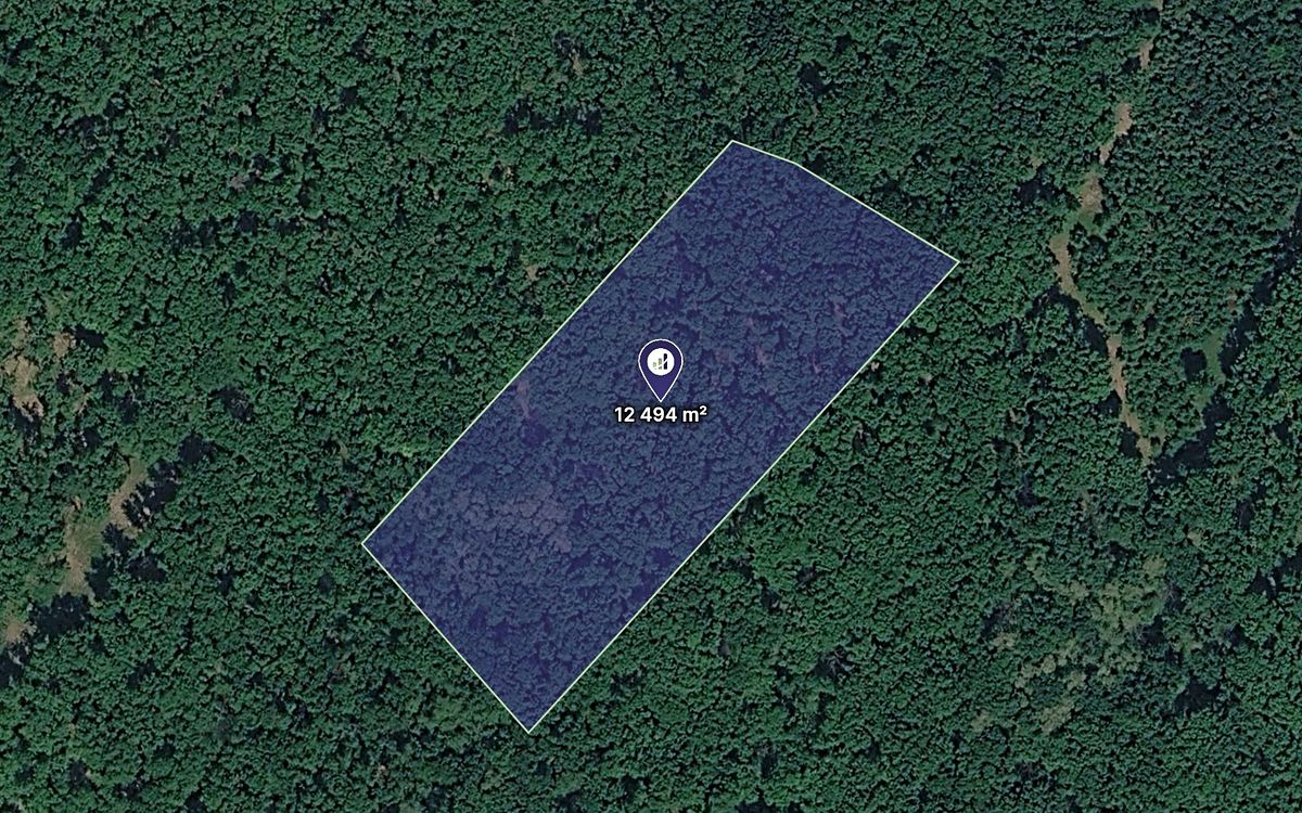 Prodej lesa 12494 m², Klobouky u Brna – fotka 1 z 3