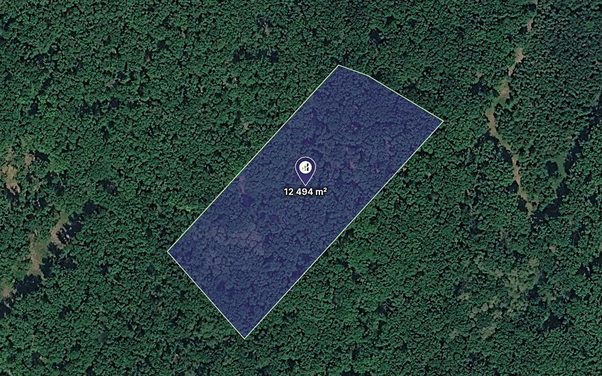 Prodej lesa 12494 m²