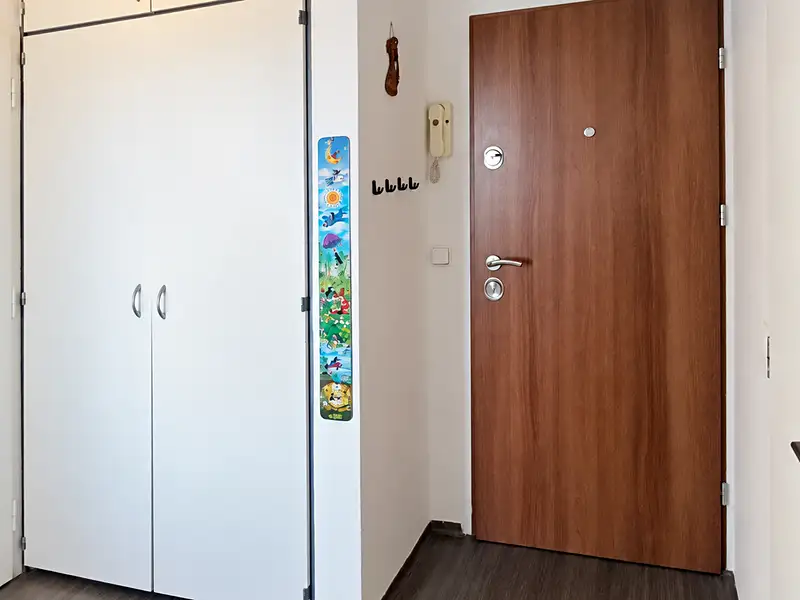 Prodej bytu 2+kk 45 m², Brno – náhled fotky 2