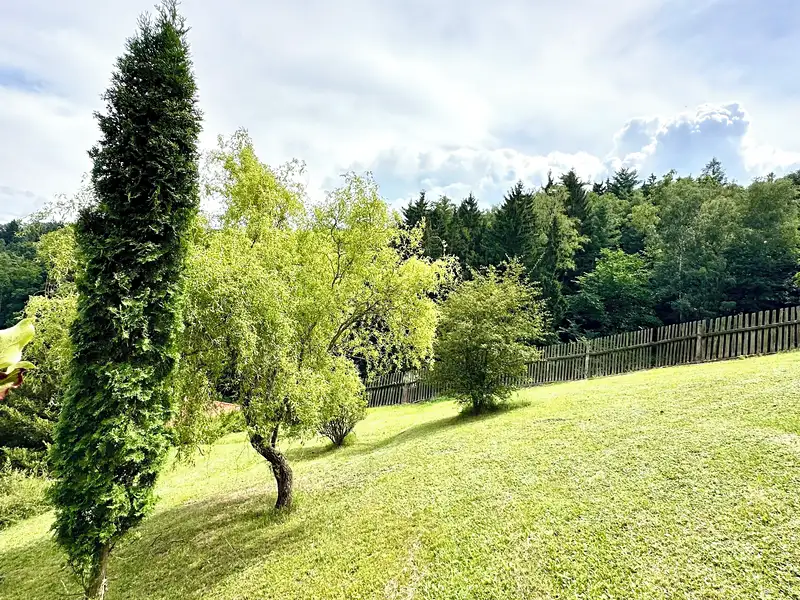 Prodej stavebního pozemku 3706 m², Stříbrná Skalice – náhled fotky 1