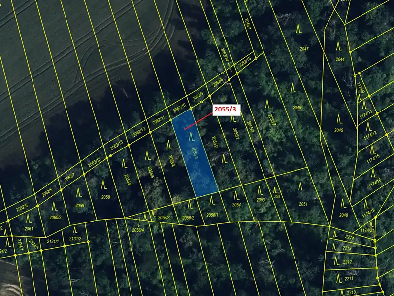 Dražba lesa 449 m², Pavlovice u Přerova – náhled fotky 2