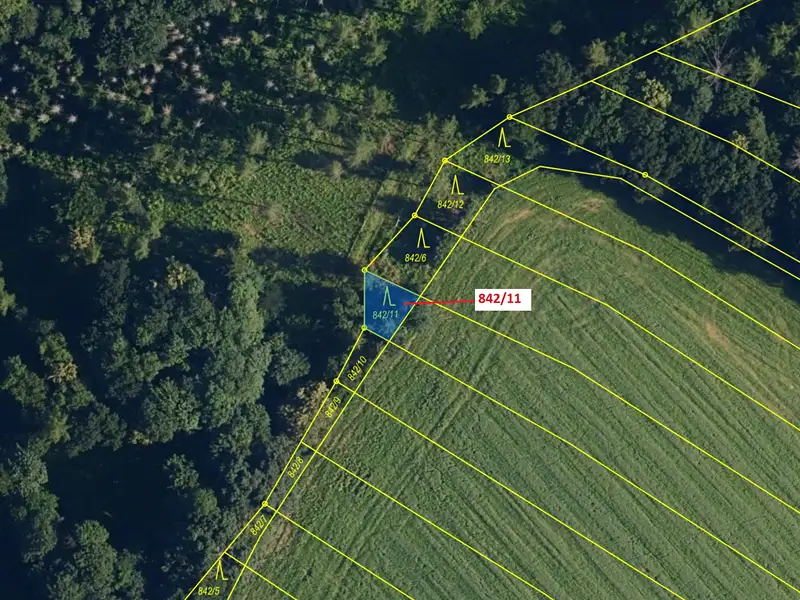Dražba lesa 113 m², Ketkovice – náhled fotky 3