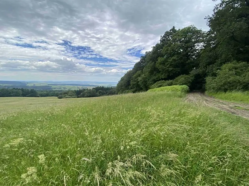 Dražba louky 7545 m², Korytná – náhled fotky 2