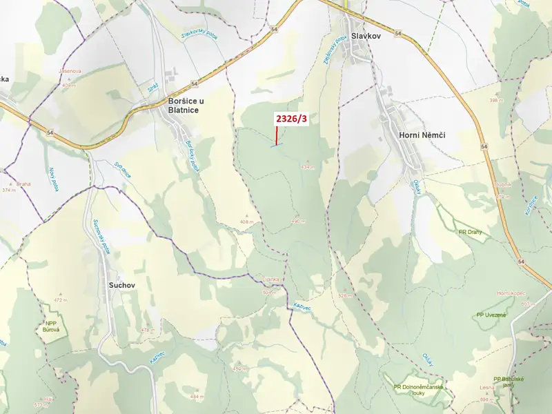Dražba lesa 1084 m², Slavkov – náhled fotky 1