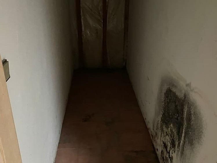 Ostatní