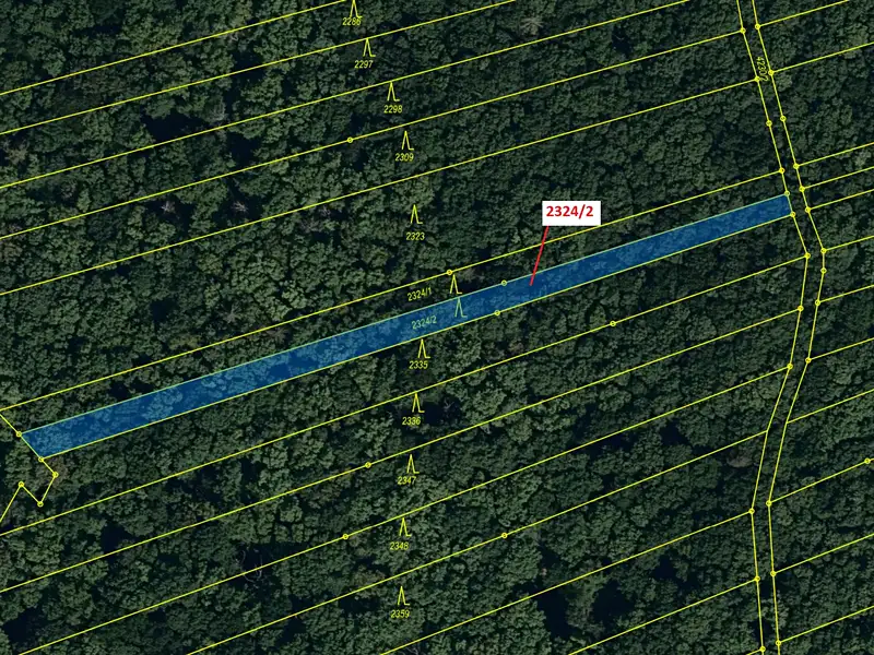 Dražba lesa 1060 m², Slavkov – náhled fotky 2