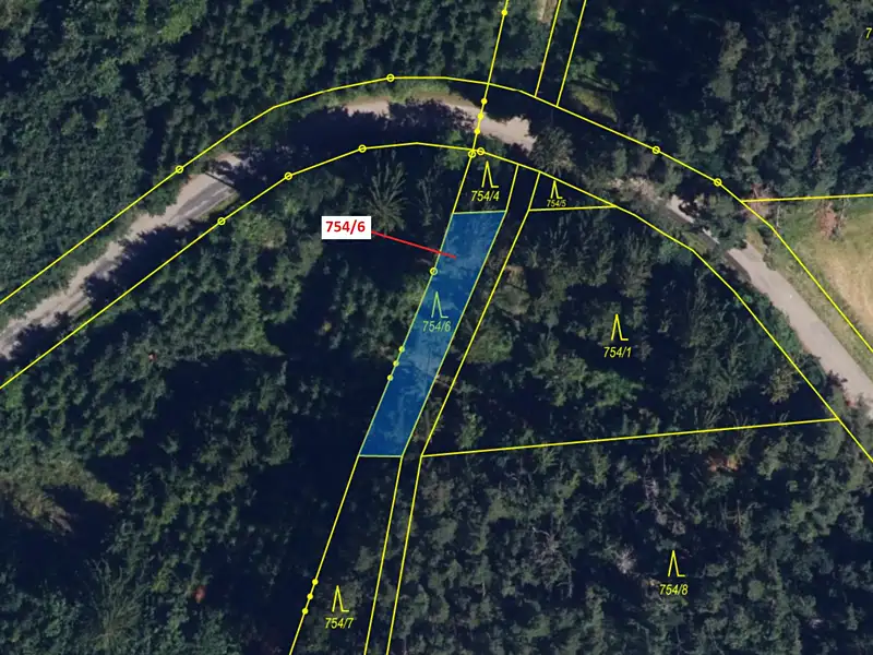 Dražba lesa 294 m², Loučka – náhled fotky 3