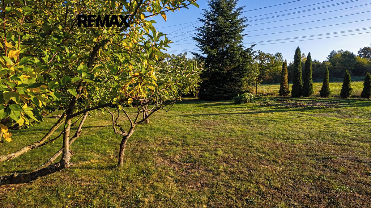 Prodej stavebního pozemku 1982 m² – fotografie 3