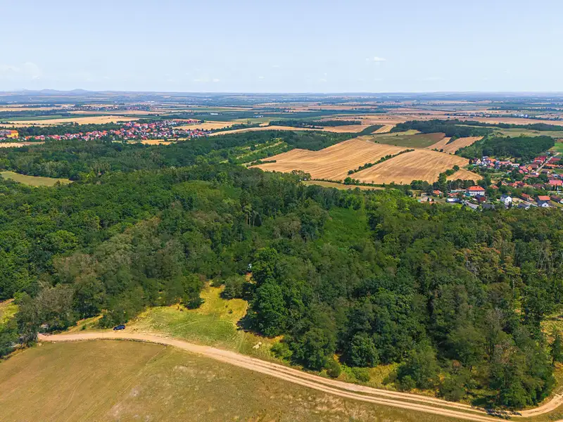 Prodej lesa 2859 m², Jeviněves – náhled fotky 2